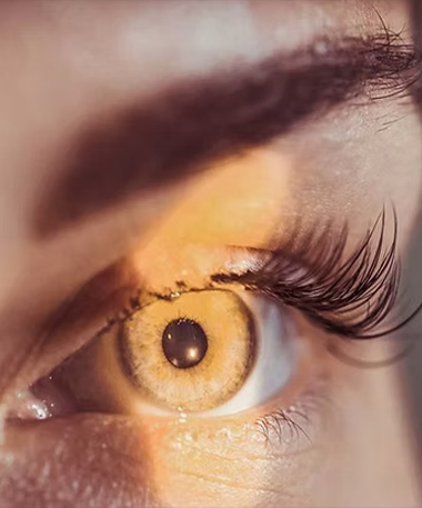 Eye Exams for Adults